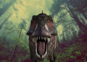 Археологи нашли зубы самых страшных хищников, которые жили на Земле