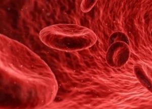Найдена связь между продолжительностью жизни и уровнем железа в крови
