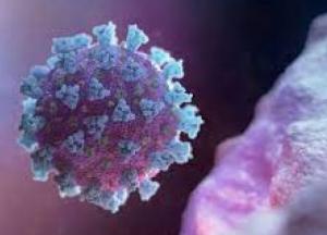 Ученые обнаружили влияние COVID на когнитивные способности