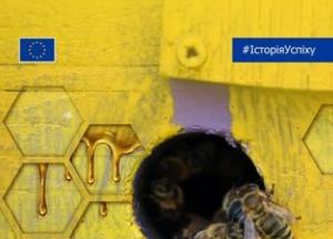 Україна — другий постачальник меду до ЄС: як Євросоюз підтримує українських пасічників