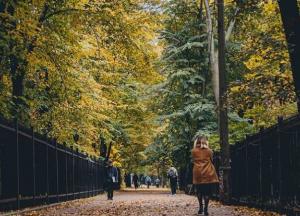 Прогноз погоды на 14 октября: солнце и похолодание на несколько градусов