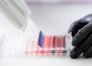 Ученые сделали сенсационное открытие о лечении болезней сердца