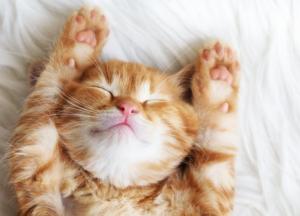 Прогноз погоды на 18 марта: порывистый ветер и осадки