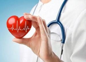 Ученые рассказали, как жирная еда влияет на работу сердца