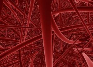 Диетолог назвал продукты для здоровья сосудов