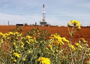 В Украине планируют законсервировать 6 млн га с/х земель