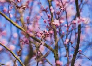 Будет мокро и тепло: синоптики шокировали погодой до конца зимы