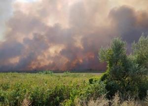 При тушении пожаров в зоне ООС пострадали военные