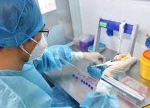 В Украине 1600 новых случаев коронавируса