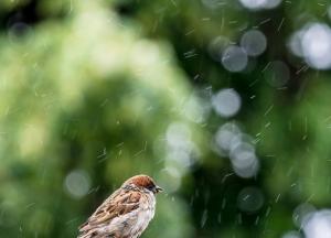 ​К понедельнику арктическая масса захватит почти всю территорию Украины