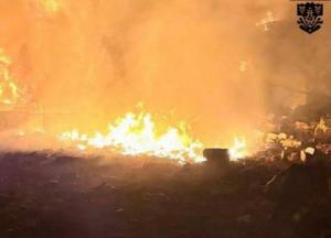 РФ ударила по енергетичних об'єктах Одеської області, пошкоджено сонячну електростанцію (фото, відео)