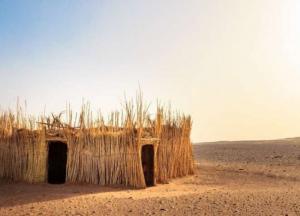 Ученые установили, как древние люди покинули Африку