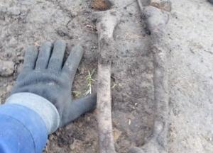 В Борисполе возле школы нашли скелеты в гробах (фото)