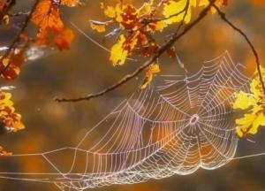 Прогноз погоды на 21 октября: украинцам обещают много солнца