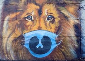 В Киеве появился мурал, посвященный эпидемии коронавируса (ФОТО)