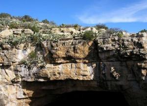В пещерах Мексики археологи обнаружили шахты древних индейцев 