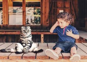 Ученые выяснили, что коты могут имитировать людей 