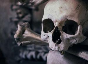 Кладбище деформированных черепов раскрыло загадки древних римлян