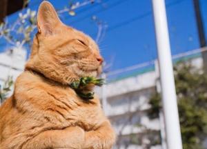 Прогноз погоды на 27 июня: тепло и сухо, но на Западе снова дожди