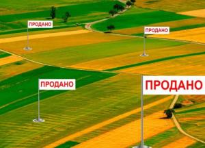 Рассмотрения законопроектов о рынке земли завтра в Раде не будет