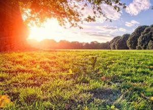 Прогноз погоды на 23 сентября: в Украине солнечно и тепло