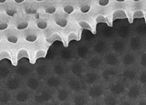 Ученые обнаружили материю, нарушающую законы физики