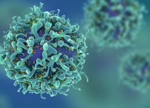 Эти продукты убивают раковые клетки