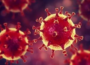 Ученые рассказали о удивительной особенности коронавируса