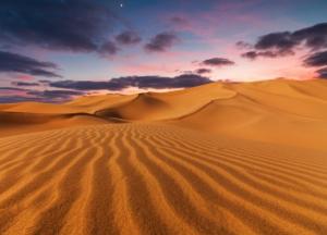 В пустыне Сахаре раньше водилась рыба: вывод ученых