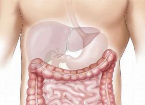 Ученые назвали продукты, которые повреждают печень