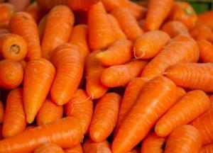 Медики объяснили, кому полезна морковь
