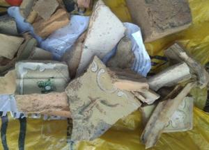 Под Днепром археологи обнаружили старинный город (фото)