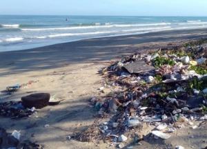 Человечеству грозит неизбежный пластиковый кризис