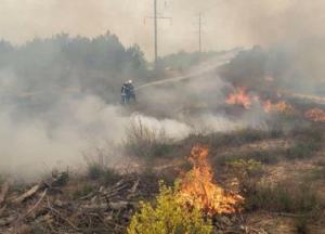 Возле Запорожской АЭС вспыхнул пожар (видео)