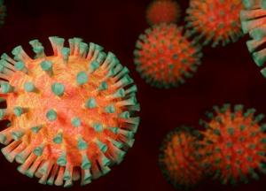 В Финляндии создали молекулу, способную защитить от коронавируса