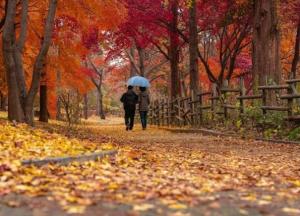 Названо простое упражнение, которое снижает риск смерти