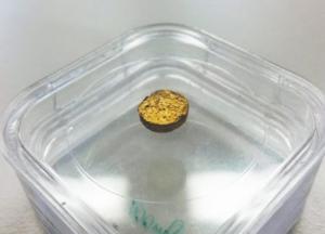 Ученые научились делать золото из пластика