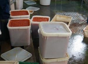 Пограничники изъяли более двух тонн красной икры 