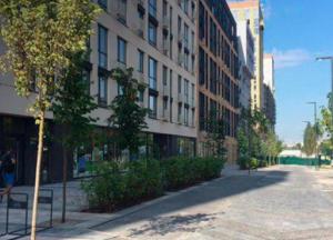 В Киеве открыли первую "умную" улицу (фото)