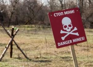 Кабмин одобрил создание нового госоргана: чем займется