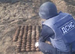 Житель Одесской области выкопал на огороде сотню гранат