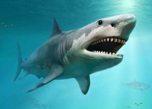 Ученые назвали самую большую рыбу в истории Земли