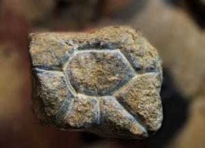 Найдены резные фигурки Ледникового периода, которым 26 тысяч лет