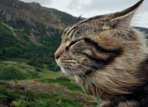 Прогноз погоды на 17 сентября: пол Украины окажется в плену гроз