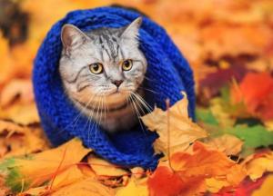 У Києві з 3 жовтня розпочнеться опалювальний сезон