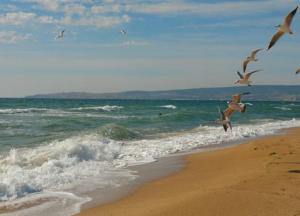 Все мысли про купальник: появились интересные фото с пляжа в Крыму