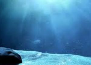 На дне океана нашли загадочный фиолетовый шар