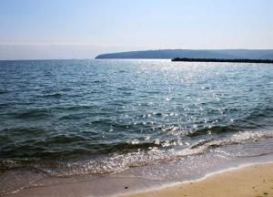 Госэкоинспекция проверит прибрежную зону и акваторию Черного моря