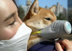 В Украину запретили ввозить животных из Китая