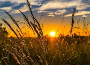 Прогноз погоды на 31 июля: жара стихнет, на Востоке и Юге пройдут дожди